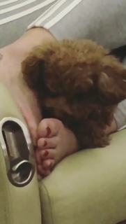 Katy Perry feet photo thumbnail