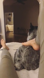 Adriene Mishler feet photo thumbnail