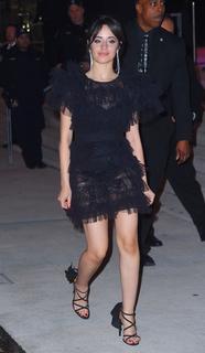 Camila Cabello feet photo thumbnail