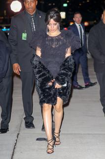 Camila Cabello feet photo thumbnail