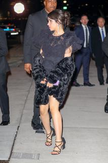 Camila Cabello feet photo thumbnail