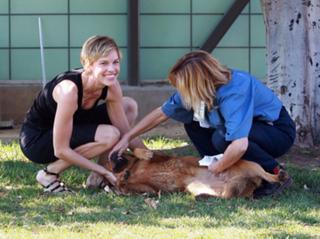 Hilary Swank feet photo thumbnail