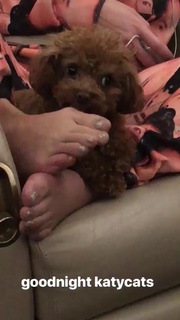 Katy Perry feet photo thumbnail