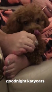Katy Perry feet photo thumbnail