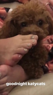 Katy Perry feet photo thumbnail