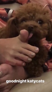 Katy Perry feet photo thumbnail