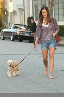Minka Kelly feet photo thumbnail