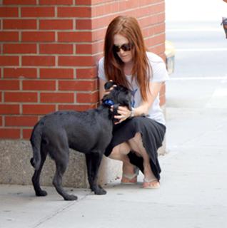 Julianne Moore feet photo thumbnail