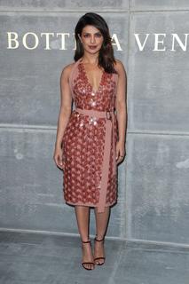 Priyanka Chopra Jonas feet photo thumbnail