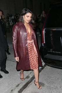Priyanka Chopra Jonas feet photo thumbnail