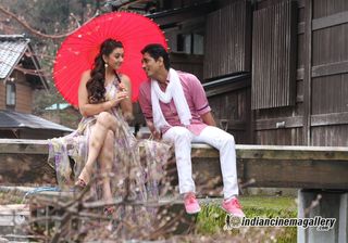 Hansika Motwani feet photo thumbnail