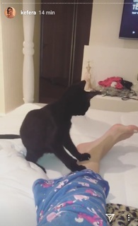 Kéfera Buchmann feet photo thumbnail