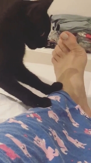 Kéfera Buchmann feet photo thumbnail