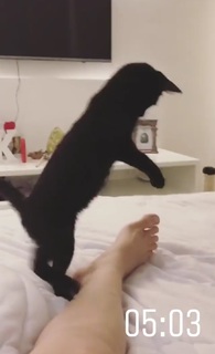Kéfera Buchmann feet photo thumbnail