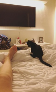 Kéfera Buchmann feet photo thumbnail