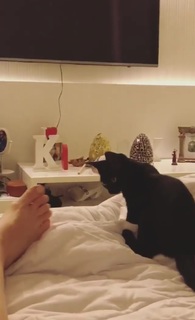 Kéfera Buchmann feet photo thumbnail