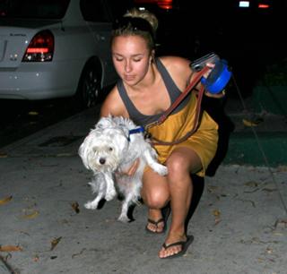 Hayden Panettiere feet photo thumbnail