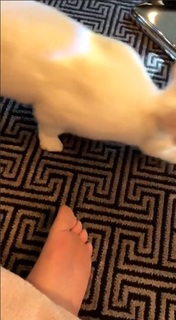 Kaley Cuoco feet photo thumbnail