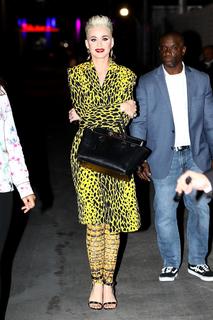 Katy Perry feet photo thumbnail