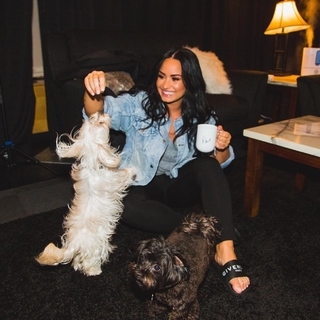 Demi Lovato feet photo thumbnail