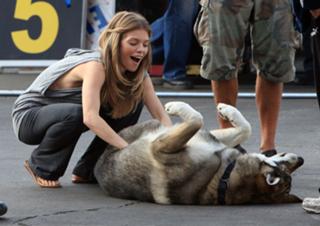 AnnaLynne McCord feet photo thumbnail