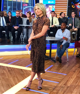 Amy Robach feet photo thumbnail