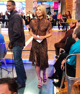 Amy Robach feet photo thumbnail