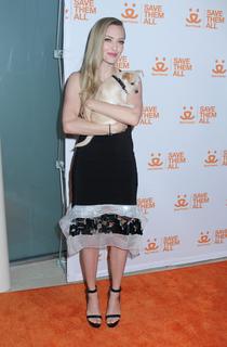 Amanda Seyfried feet photo thumbnail