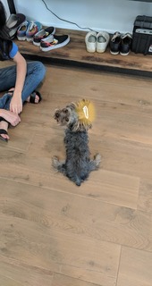 Hila Klein feet photo 4