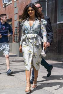 Priyanka Chopra Jonas feet photo thumbnail