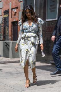 Priyanka Chopra Jonas feet photo thumbnail
