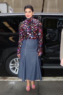 Priyanka Chopra Jonas feet photo thumbnail