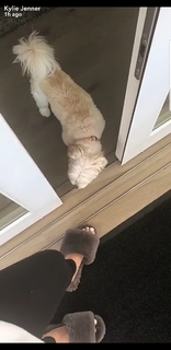 Kylie Jenner feet photo thumbnail