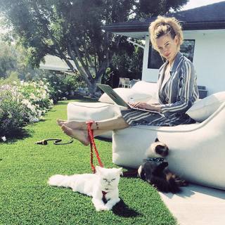Katie Cassidy feet photo thumbnail