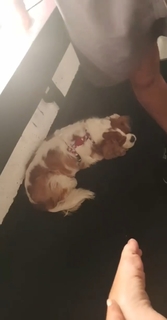 Anitta feet photo thumbnail