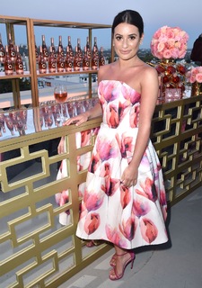 Lea Michele feet photo thumbnail