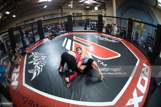 Miesha Tate feet photo thumbnail