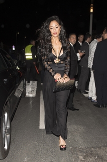 Nicole Scherzinger feet photo thumbnail