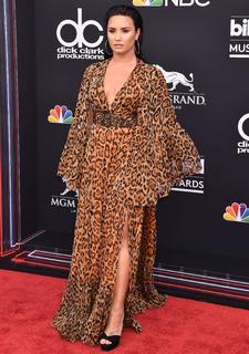 Demi Lovato feet photo thumbnail