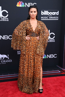 Demi Lovato feet photo thumbnail