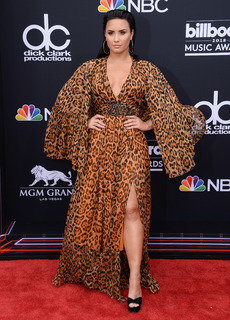 Demi Lovato feet photo thumbnail