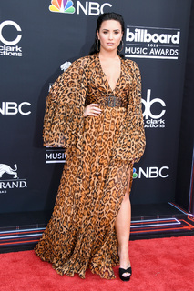 Demi Lovato feet photo thumbnail