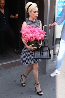 Lady Gaga feet photo thumbnail