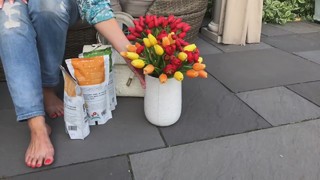 Lisa Robertson feet photo thumbnail