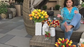 Lisa Robertson feet photo thumbnail