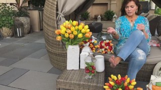 Lisa Robertson feet photo thumbnail