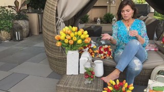 Lisa Robertson feet photo thumbnail
