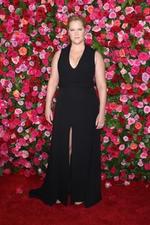 Amy Schumer feet photo thumbnail