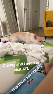 Emma Lovett feet photo thumbnail
