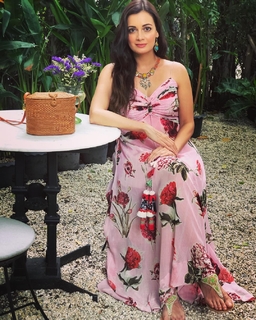 Dia Mirza feet photo thumbnail